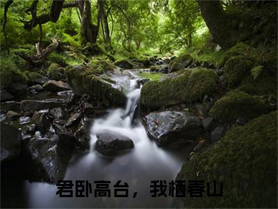 陆沉鱼傅庭屹君卧高台，我栖春山电子书+番外篇章+（君卧高台，我栖春山）免费版在线阅读