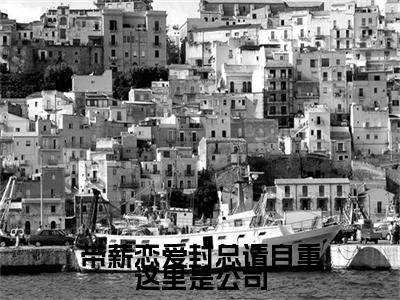 带薪恋爱封总请自重这里是公司：结局+番外免费品鉴：结局+番外评价五颗星