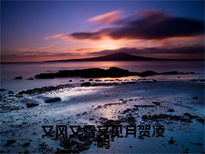 前传_笔趣阁（黎婉辞贺凌屿）黎婉辞贺凌屿小说(又风又雪又见月贺凌屿)章节在线阅读