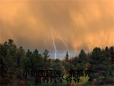 汪团团小说(小奶团超凶，靠抓鬼富养六个爷爷)全文+后续（汪团团）畅享阅读