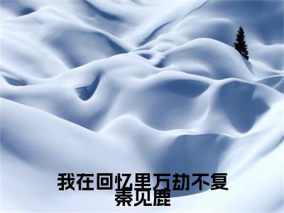 我在回忆里万劫不复秦见鹿（谢梵声秦见鹿）免费阅读无弹窗大结局_我在回忆里万劫不复秦见鹿小说（谢梵声秦见鹿）免费阅读最新章节列表