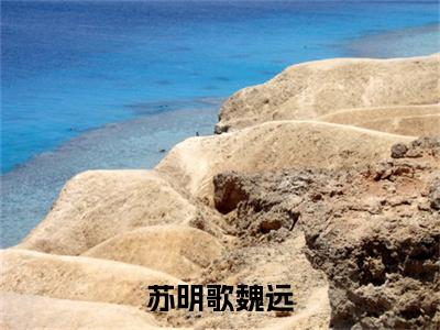 苏明歌魏远：结局+番外宝藏文高分小说苏明歌魏远