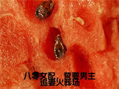 八零女配，誓要男主追妻火葬场结局+番外（沈静姝徐晏礼）最新章节列表_八零女配，誓要男主追妻火葬场结局+番外（沈静姝徐晏礼）全文+后续+结局在线阅读