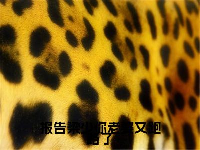 报告梁少你老婆又跑路了：全文+后续（梁衍之乔冉）完结阅读无弹窗大结局_(报告梁少你老婆又跑路了：全文+后续)最新章节列表_笔趣阁（梁衍之乔冉）