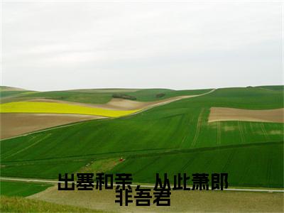 李元瑛萧衡 小说小说全集+延伸+完本（出塞和亲，从此萧郎非吾君）畅享在线阅读