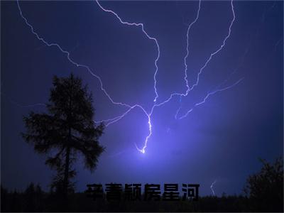 辛青颖房星河辛青颖房星河：+后续+番外+附加（辛青颖房星河）清爽版阅读