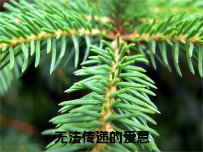 无法传递的爱意全文免费阅读_（林毓清晏明修免费阅读无弹窗）林毓清晏明修最新章节列表笔趣阁