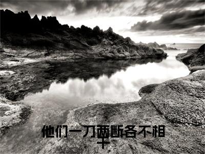 季临川沈念薇后续（他们一刀两断各不相干）全文在线下载在线+纯净版结局