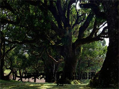 终章小说顾临川周语嫣小说(顾临川周语嫣)已更新+番外篇章（神女为我下凡尘周语嫣）无广告