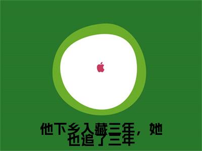新章速递沈栀夏益西嘉措小说小说结尾阅读无广告（他下乡入藏三年，她也追了三年）