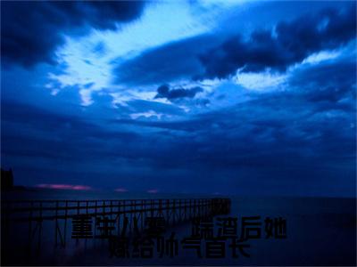 重生八零，踹渣后她嫁给帅气首长小说全篇完整在线阅读（宋廷年梅子箐）热门章节列表