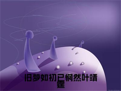 旧梦如初已惘然叶靖霆小说（许书意叶靖霆）前文+全本完整阅读预售作品抢先看