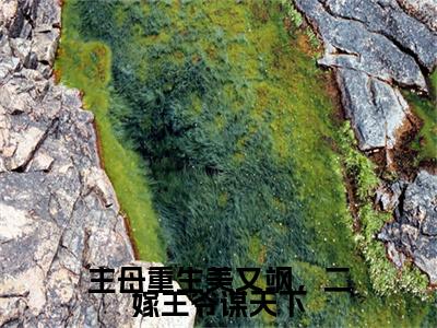 主母重生美又飒，二嫁王爷谋天下小说完本(主母重生美又飒，二嫁王爷谋天下)（萧湛江微）前传+整本阅读全新作品预订