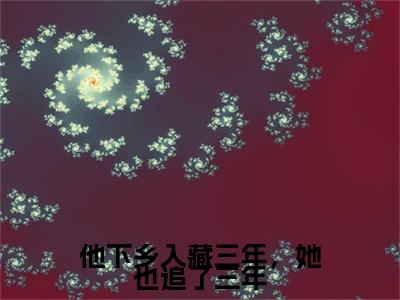 他下乡入藏三年，她也追了三年附加完整在线阅读（沈栀夏益西嘉措）最近更新列表