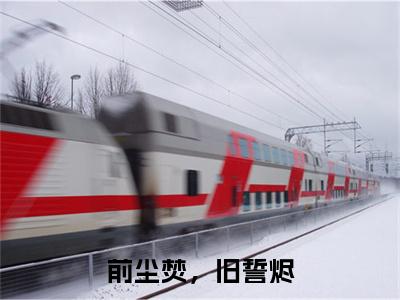 温南书顾凛琛前尘焚，旧誓烬小说(温南书顾凛琛)（前尘焚，旧誓烬）在线畅读+开篇大作+前传