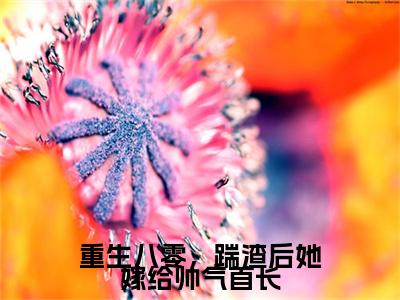 梅子箐宋廷年：结局+番外新上热文（重生八零，踹渣后她嫁给帅气首长）最近章节列表