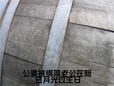 原炀陈雅雯小说（公婆被绑架老公在陪白月光过生日）前文+全本完整阅读预售作品抢先看
