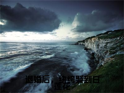 叶婉在线（退婚后，纨绔娶到白莲花）最新推荐_最新推荐叶婉在线（退婚后，纨绔娶到白莲花）