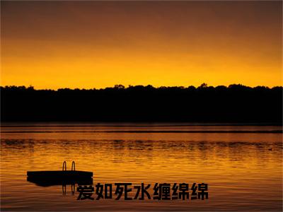 爱如死水缠绵绵：：结局+番外评价五颗星-沈知意傅司寒：结局+番外新上热文