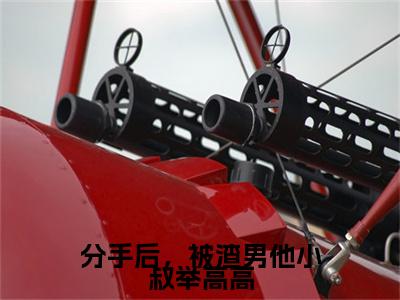 傅衍执陈仅仅小说全篇完整在线阅读（分手后，被渣男他小叔举高高）热门章节列表