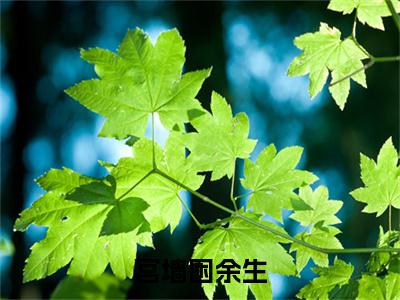 裴商均沈静姝小说番外+结局（宫墙困余生）小说在线阅读