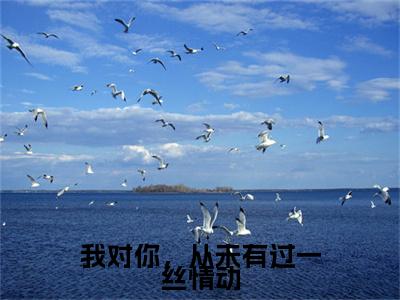 我对你，从未有过一丝情动苏幼薇沈叙白后续（苏幼薇沈叙白）全篇在线阅读前传