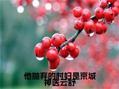 周巡云舒：结局+番外新上热文（他抛弃的村妇是京城神医云舒）最近章节列表
