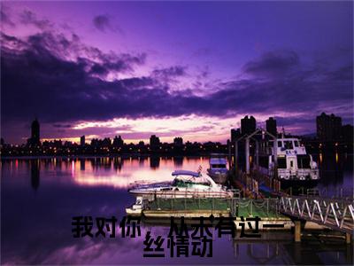 （头条）我对你，从未有过一丝情动小说(苏幼薇沈叙白)整本免费版阅读无广告（我对你，从未有过一丝情动）