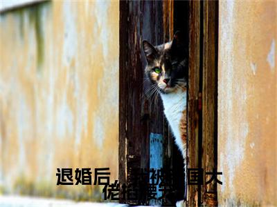 薄烬辰乔溪小说(退婚后，我被帝国大佬掐腰宠)（薄烬辰乔溪）完整章节列表_笔趣阁