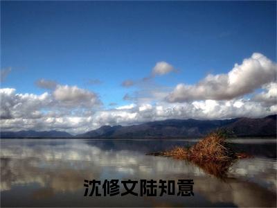 陆知意沈修文全文（沈修文陆知意）完整版小说阅读_沈修文陆知意全本列表免费笔趣阁（陆知意沈修文）