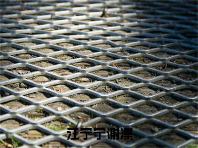 （谢凛江宁宁）江宁宁谢凛：+番外+后续起点章节+阅读即将发布预订