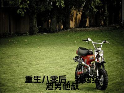 王慧敏宋建军（重生八零后，我嫁给渣男他叔）全文免费阅读大结局_重生八零后，我嫁给渣男他叔无弹窗结局+番外看点十足