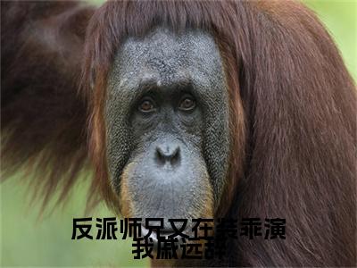 （黎枝戚远辞）反派师兄又在装乖演我戚远辞黎枝戚远辞无删减小说在线无广告高口碑小说