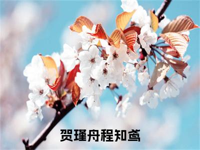 贺瑾舟程知鸢（贺瑾舟程知鸢）小说全文免费阅读无弹窗_（贺瑾舟程知鸢全文阅读）贺瑾舟程知鸢免费阅读大结局