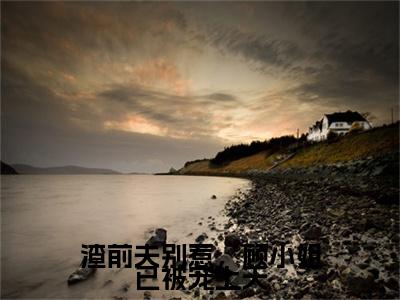 顾霜怜江泽佑续集（渣前夫别惹，顾小姐已被宠上天）章节在线阅读最近章节