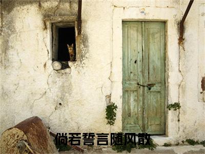沈慕川阮南音小说(倘若誓言随风散)（沈慕川阮南音）在线畅读阅读连载中