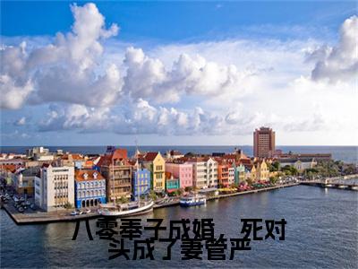 （八零奉子成婚，死对头成了妻管严）八零奉子成婚，死对头成了妻管严小说(谢青霄林相宜)整书在线无广告高口碑小说