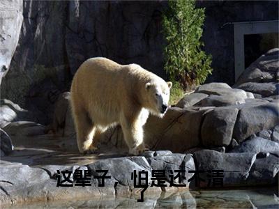 这辈子，怕是还不清了小说(盛淮序梁希)+前传（这辈子，怕是还不清了）阅读