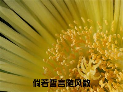 倘若誓言随风散 小说小说全集+延伸+完本（沈慕川阮南音）畅享在线阅读
