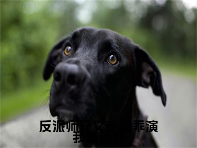 黎枝戚远辞小说完整在线阅读（反派师兄又在装乖演我戚远辞）前传列表