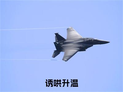 诱哄升温：结局+番外免费品鉴+全书阅读（明曦商辞）：结局+番外评价五颗星