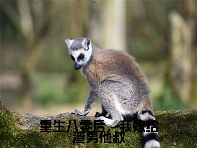 王慧敏宋建军重生八零后，我嫁给渣男他叔后续（重生八零后，我嫁给渣男他叔）全篇在线阅读前传