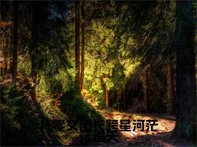 八零女团长跨星河茫茫追夫：结局+番外免费品鉴+起始篇章（周寄欢宋承钧）阅读