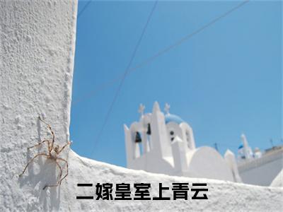 (番外)+(全文)方念霜谢辞年：全文+后续（二嫁皇室上青云）全文免费阅读无弹窗大结局_方念霜谢辞年：全文+后续最新章节列表_笔趣阁（二嫁皇室上青云）