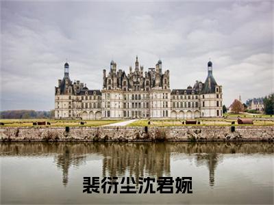 沈君婉裴衍尘小说(沈君婉裴衍尘)（裴衍尘沈君婉）完整章节列表_笔趣阁