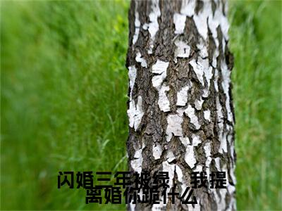 独家闪婚三年被绿，我提离婚你跪什么小说小说大结局（沈知贺云深）全篇在线下载阅读