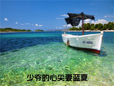 少爷的心尖妻蓝夏小说(蓝夏)（少爷的心尖妻蓝夏）完整章节列表_笔趣阁