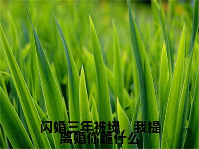 （书荒必看）闪婚三年被绿，我提离婚你跪什么小说TXT无套路阅读