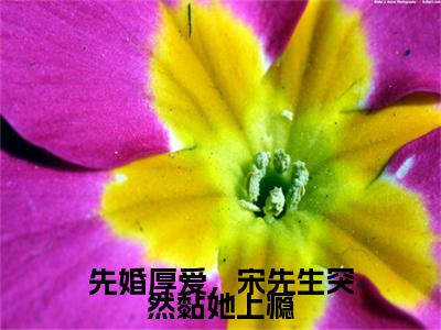 先婚厚爱，宋先生突然黏她上瘾小说(赵诗文宋凌)小说全集在线下载_章节前文+后续（先婚厚爱，宋先生突然黏她上瘾）