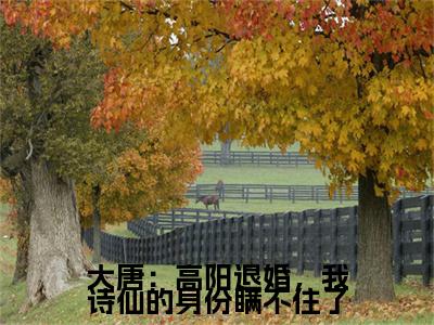 全网首发大唐：高阳退婚，我诗仙的身份瞒不住了：+后续+番外（房俊）全本完整阅读无弹窗